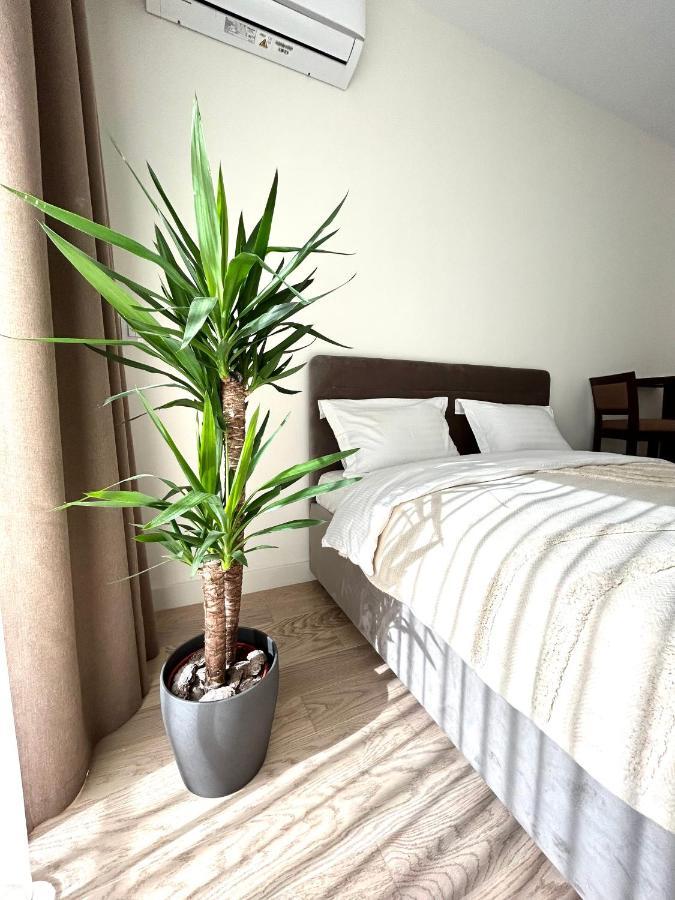 Luxury Waterfront View - BW Apartment River View 贝尔格莱德 外观 照片